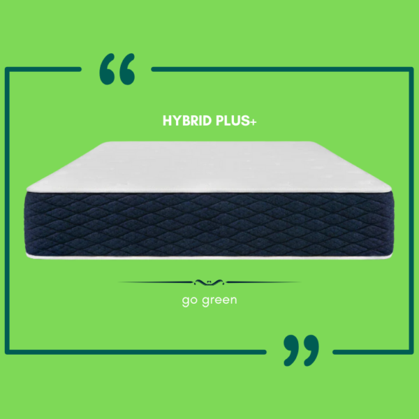 HYBRID PLUS